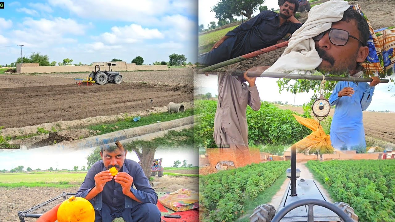 Aaj ka din itna Biji the ki proper tractor Bhi Nahin chalaya 😞