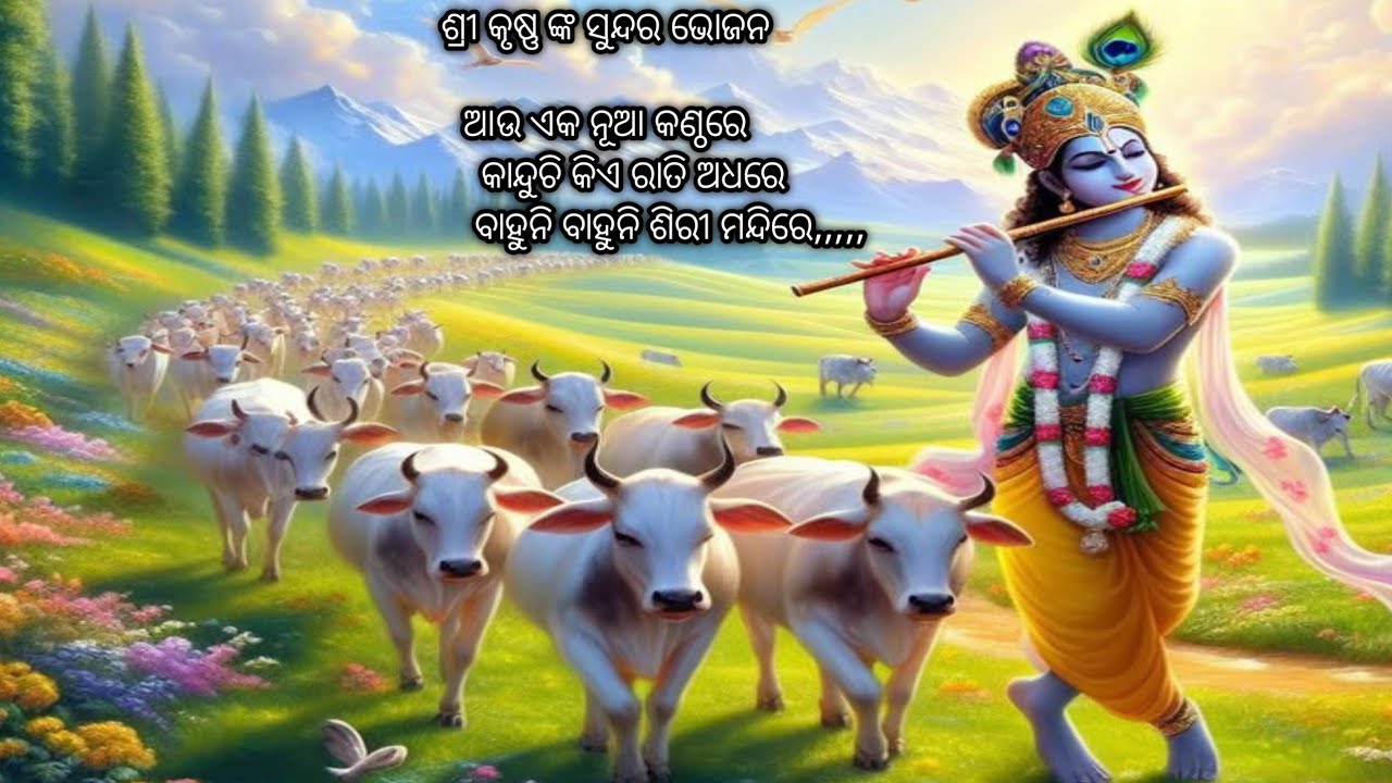@ଶ୍ରୀ କୃଷ୍ଣ ଙ୍କ ନୂଆ ଭୋଜନ # କାନ୍ଧୁଚି କିଏ #adharatire@#୪ବାହୁନି -