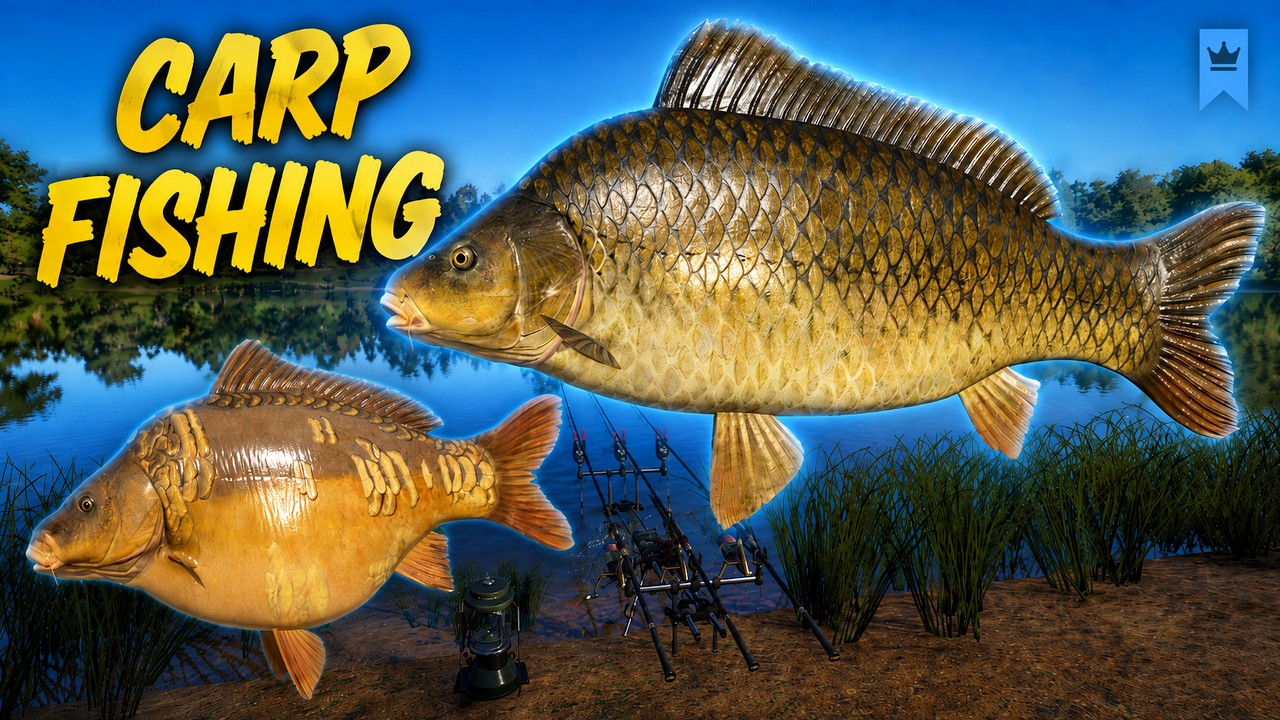Relaxing Carp Fishing | RF4 Gameplay