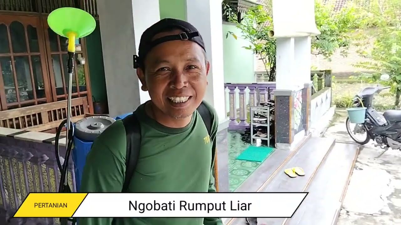 Mengobati rumput liar