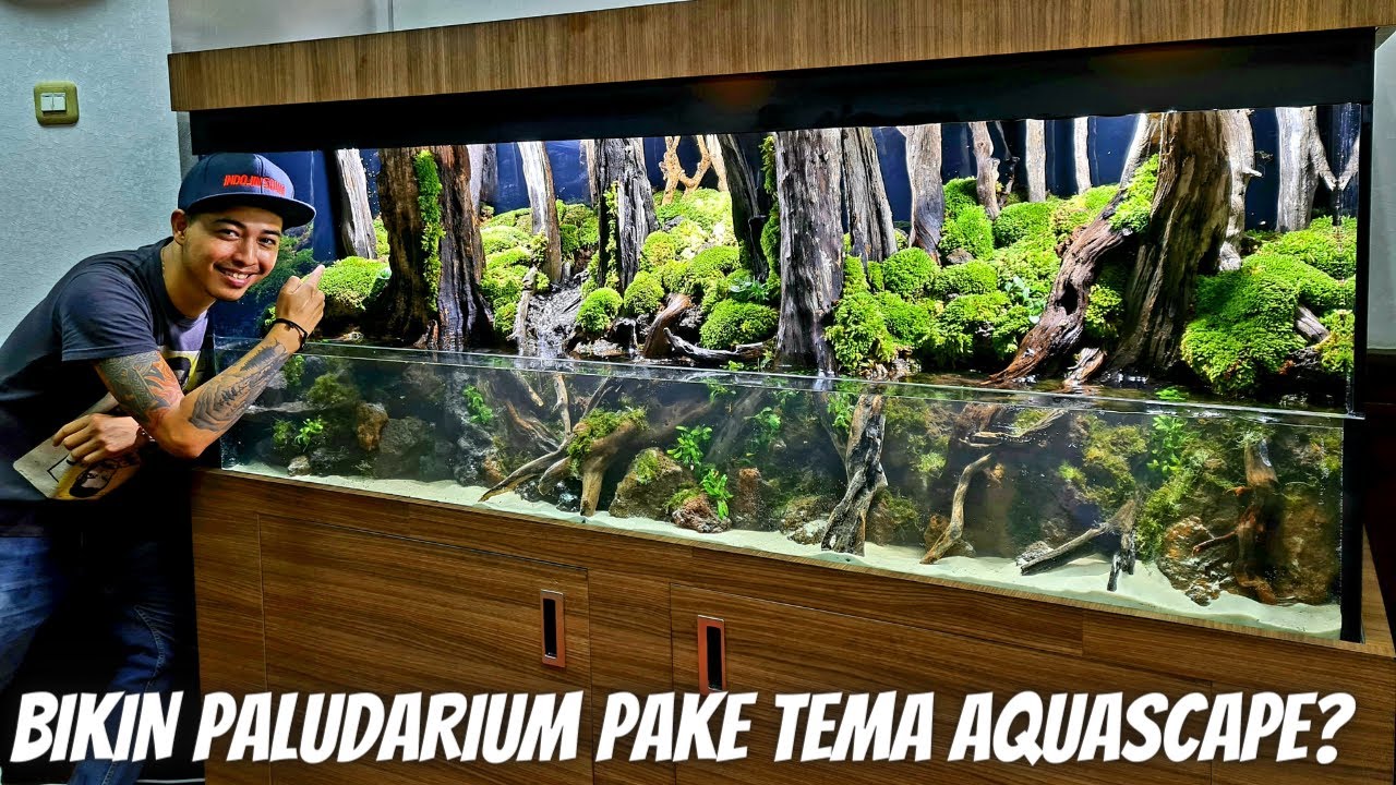 BUAT PALUDARIUM DALAM WAKTU 5 JAM BRO, COCOK BANGET BUAT PEMULA YANG MAU COBA SET UP PALUDARIUM !!!!