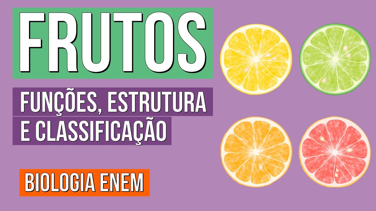 FRUTOS DAS ANGIOSPERMAS: Funções, Estrutura e Classificação | Resumo de Biologia para o Enem
