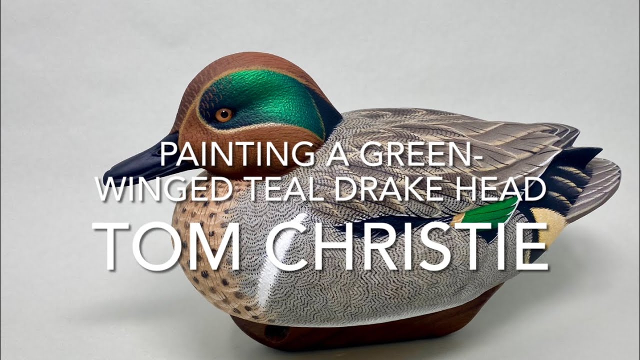 Painting a Green Winged Teal Drake Head