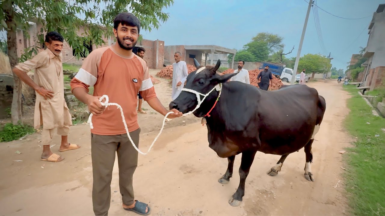 ALHAMDULILLAH 🥰 Hamari New Cow Aa Gayi 🐄 ALLAH Ka Shukar Hai | Zohaib Pendu | Zohaib Sabir Vlogs