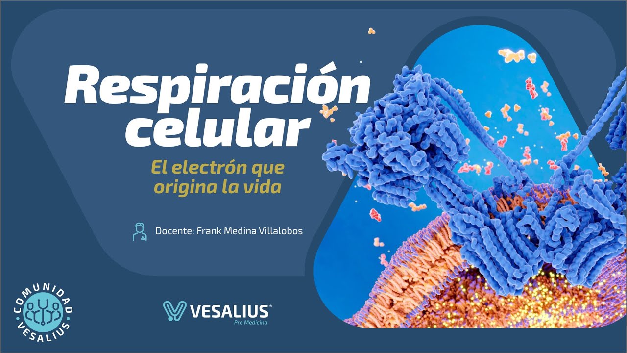 CLASE MAGISTRAL: RESPIRACION CELULAR