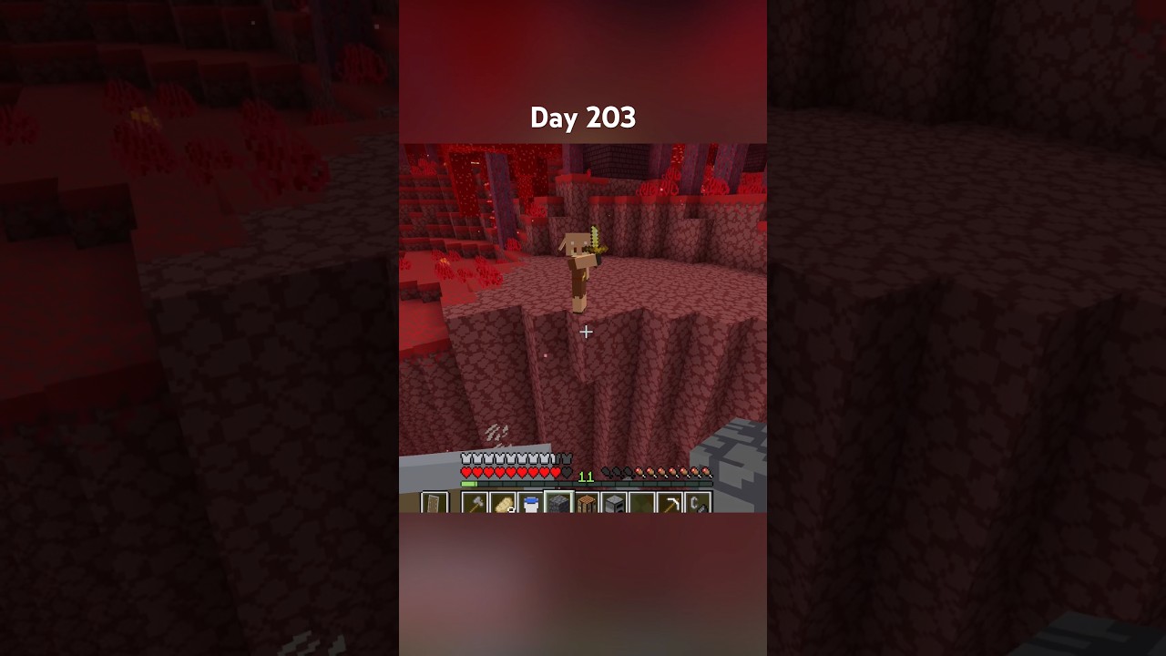 Day 203: One thing everyday until I beat #Minecraft #gaming #mcsr #minecraftshorts #shorts #short