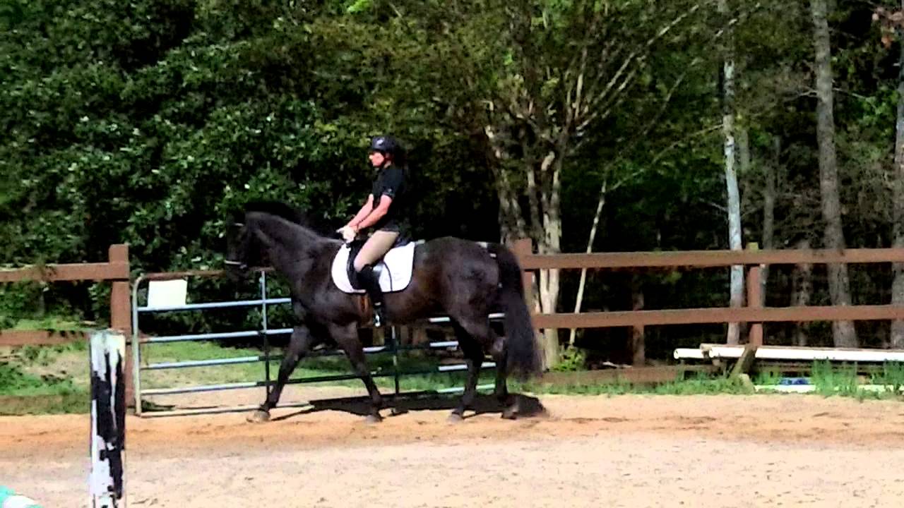 Rhythm and Blues walk and trot