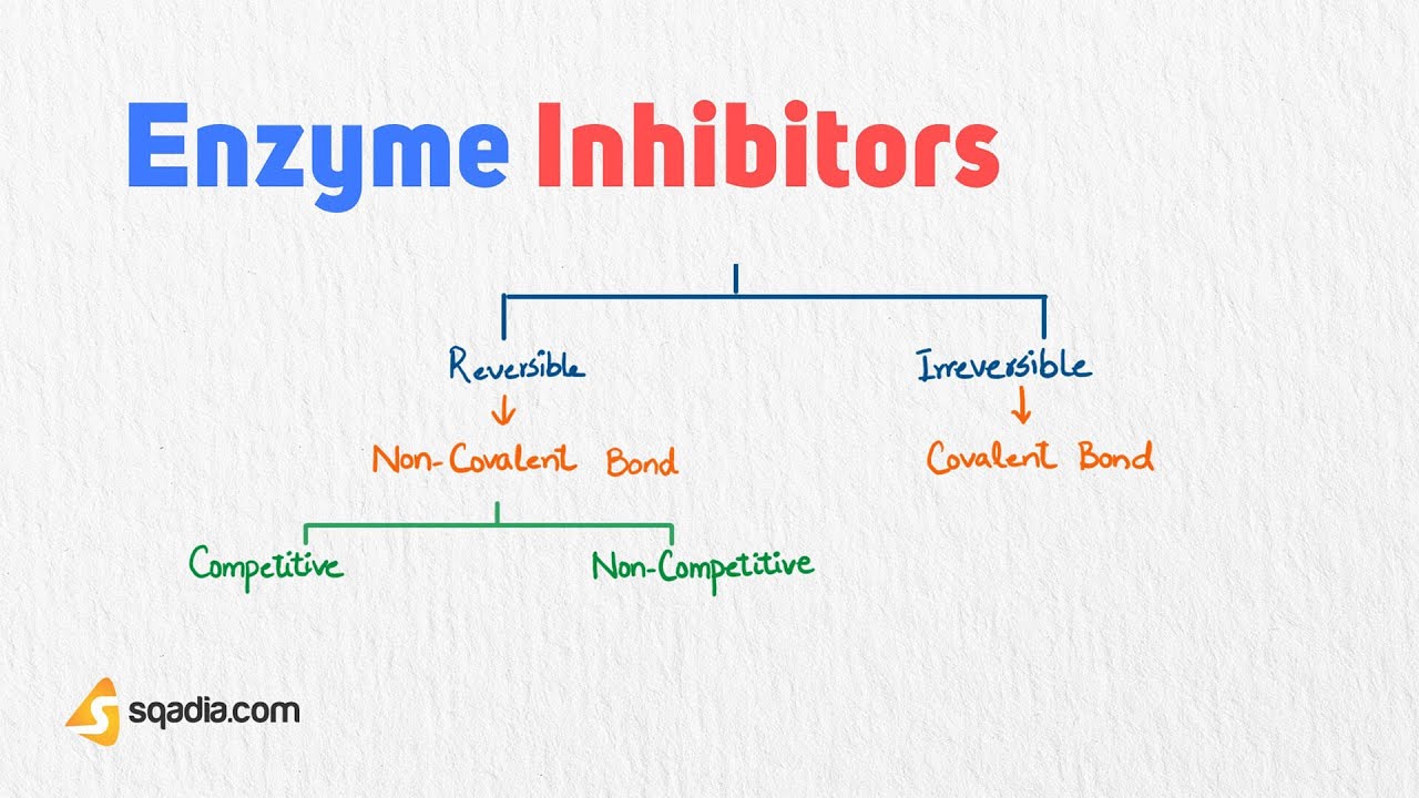 Enzyme Inhibitors | Competitive and Non-Competitive | Medical Student Biochemistry