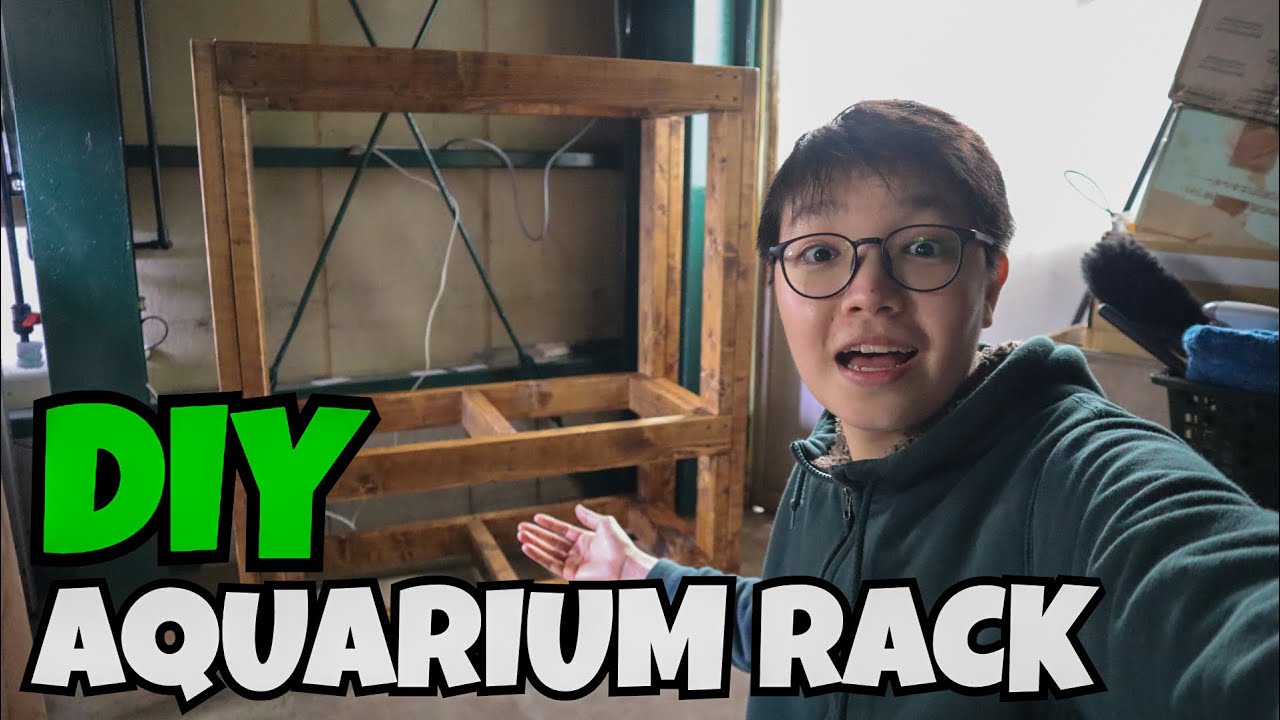 *NEW* DIY AQUARIUM RACK | 2x4 Wood Rack for 40 gallons and Nano Tanks!!