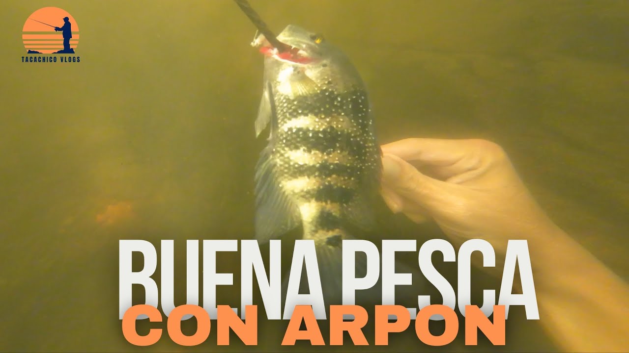 Pescando con ARPON para las pupusas de PESCADO
