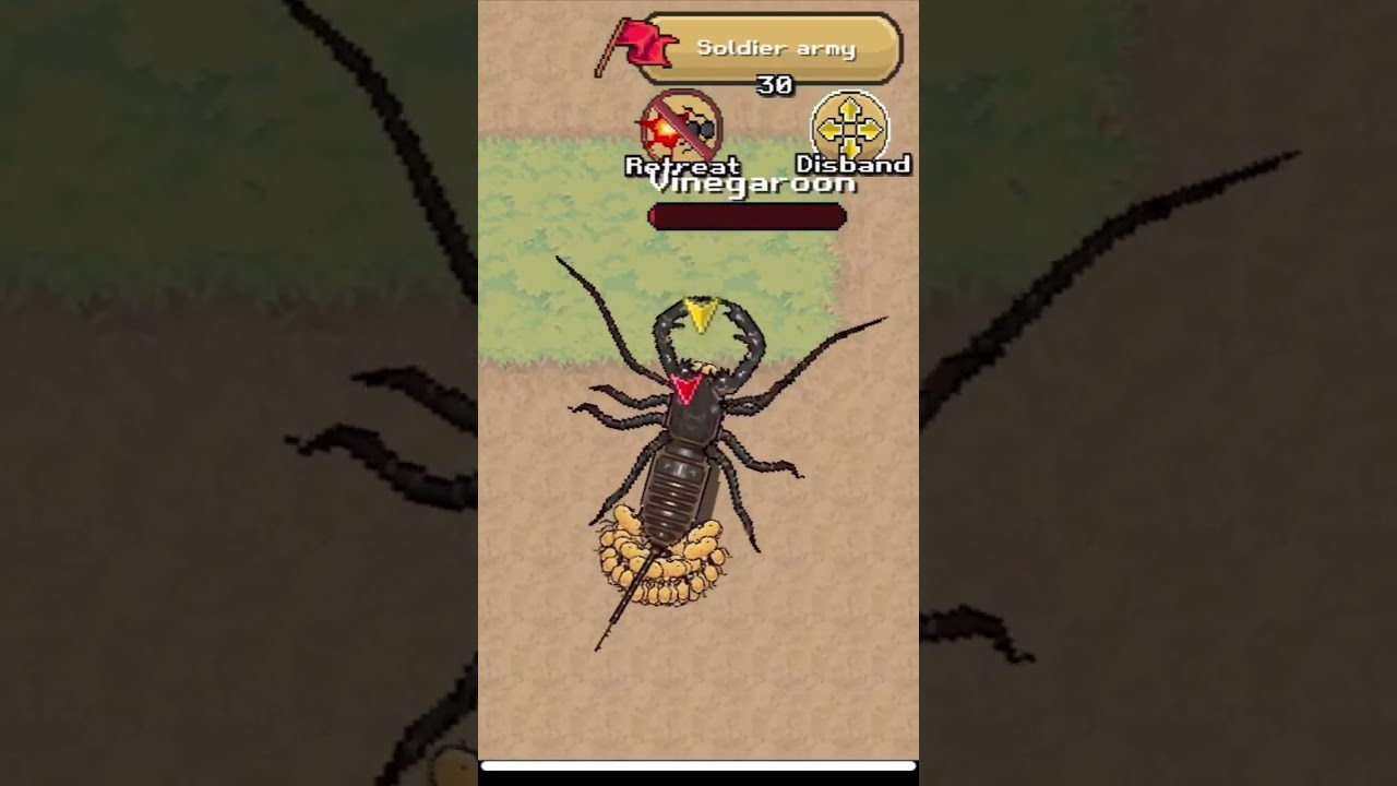 Vinegaroon Pocket Ants 