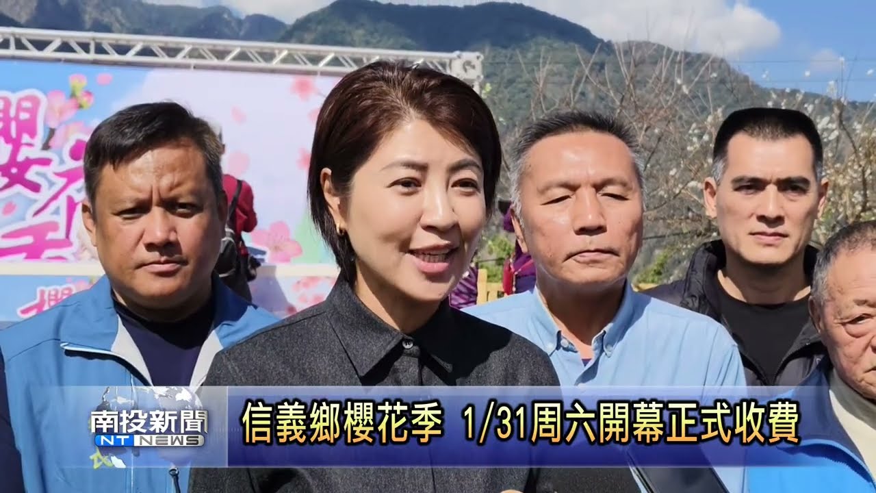 信義鄉櫻花季 1/31周六開幕正式收費  南投新聞