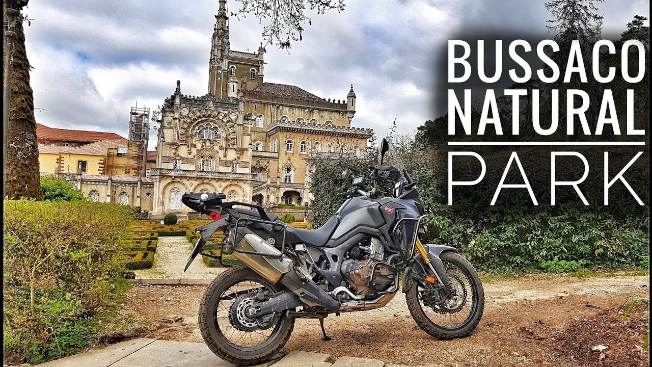 Buçaco Natural Park