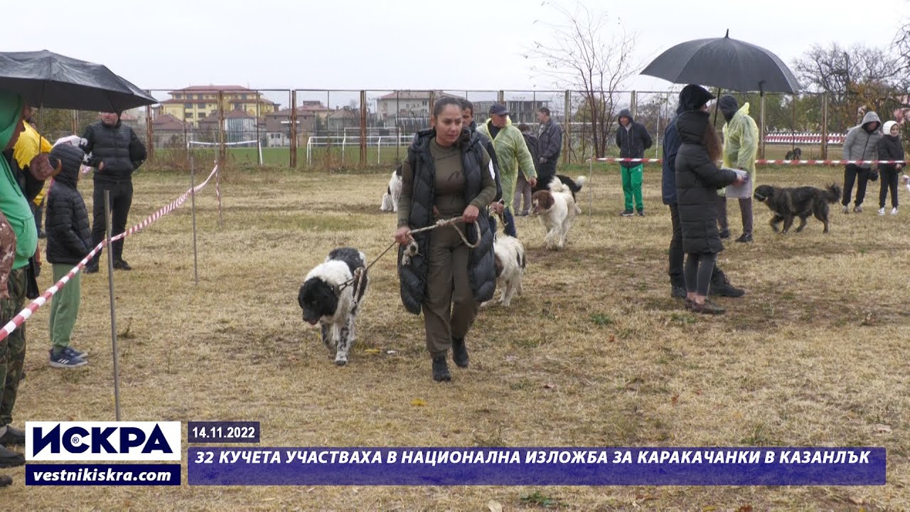 14.11.2022 - 32 кучета участваха в Национална изложба за каракачанки в Казанлък