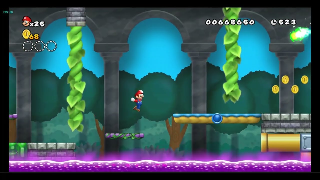 Iggy's Mossy Castle - New Super Mario Bros. Wii - Custom Level (Review)