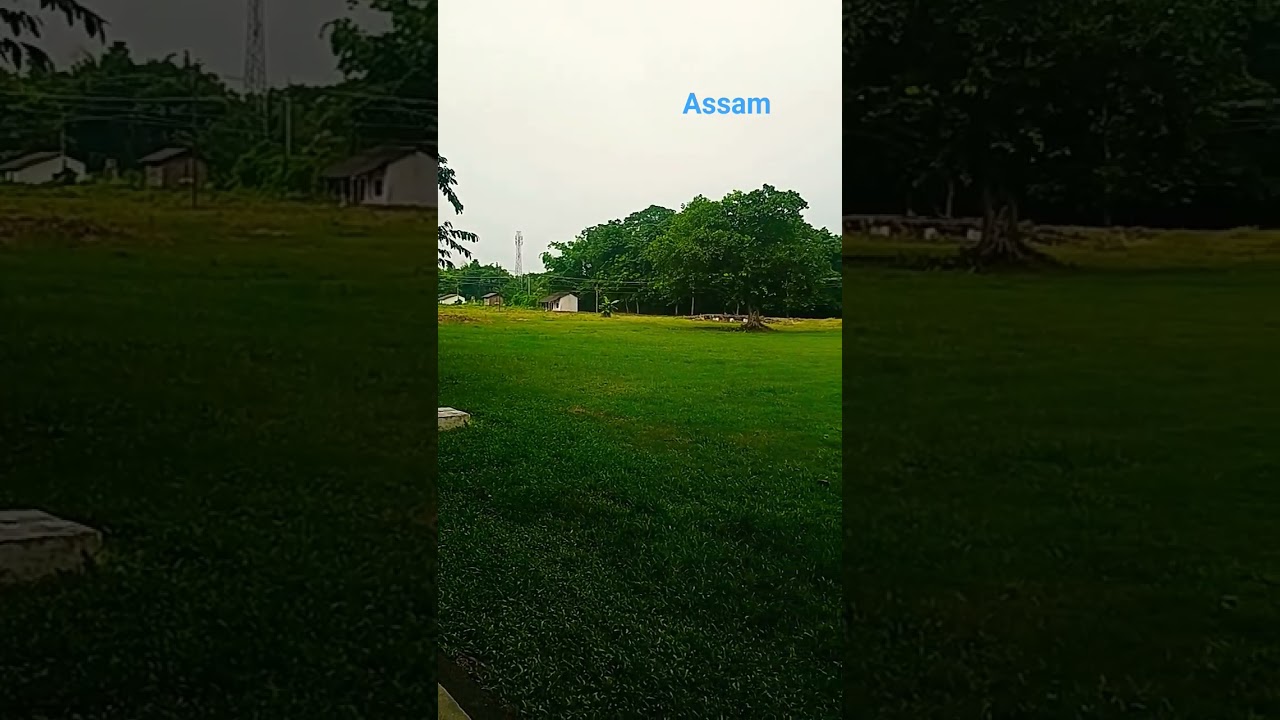 Assam #song #vibes #nature #music