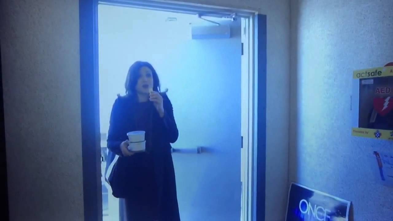 Lana Parrilla and Josh Dallas 