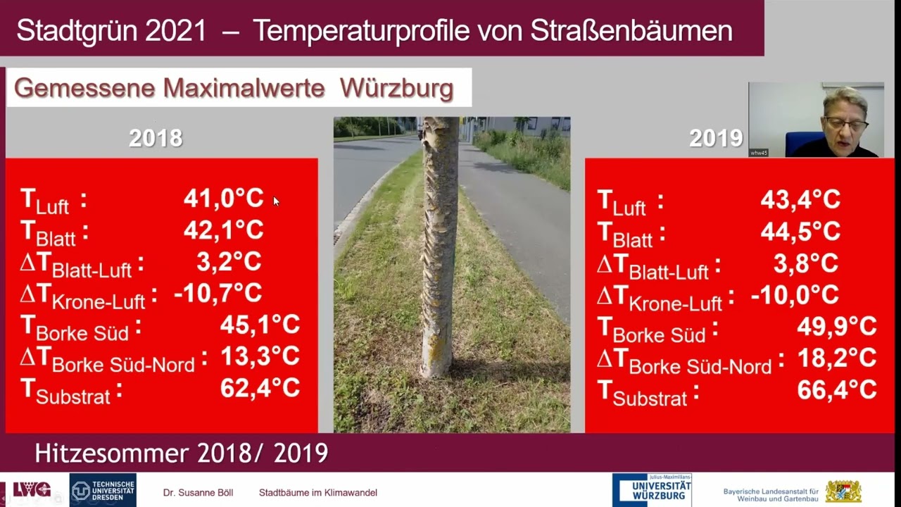 Fieberkurven heimischer und nichtheimischer Stadtbäume in den Hitzesommern 2018/2019