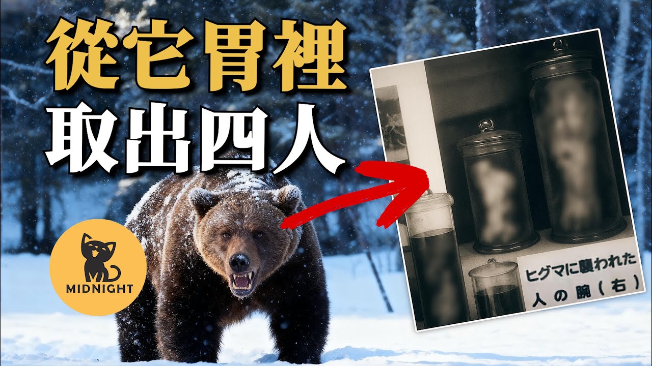 日本四大獸害之一，追蹤6天難阻悲劇，熊肚裡找出4個人的身體