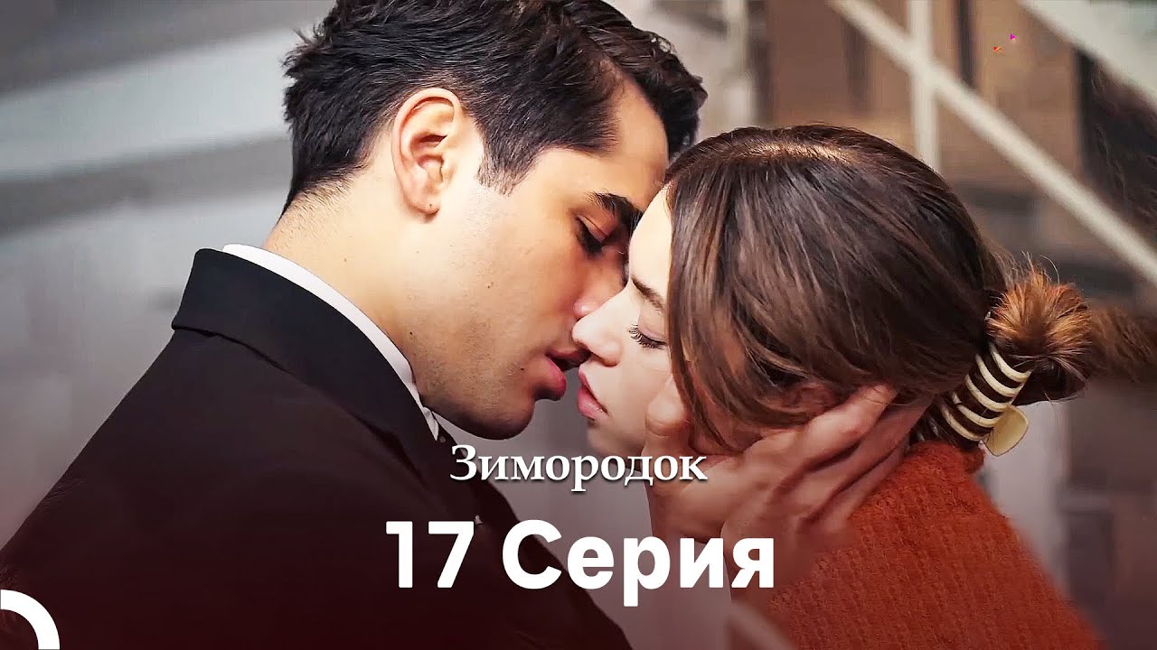 Зимородок 17 Cерия (Русский дубляж)(Длинная Bерсия)