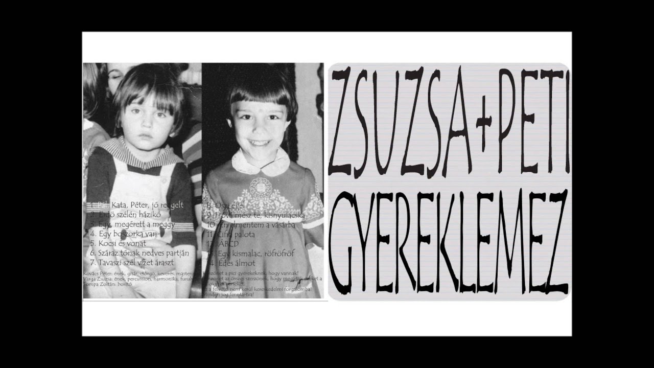 Erdő szélén házikó