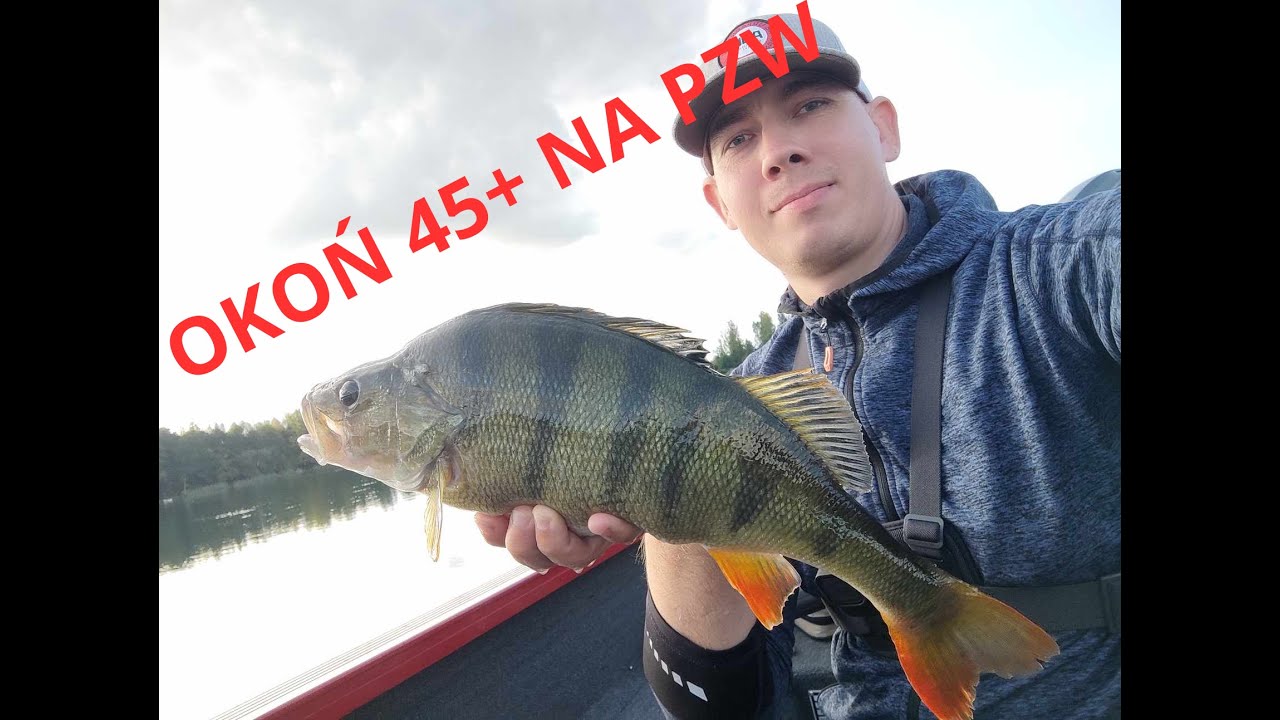 Okoń 45+ Na PZW