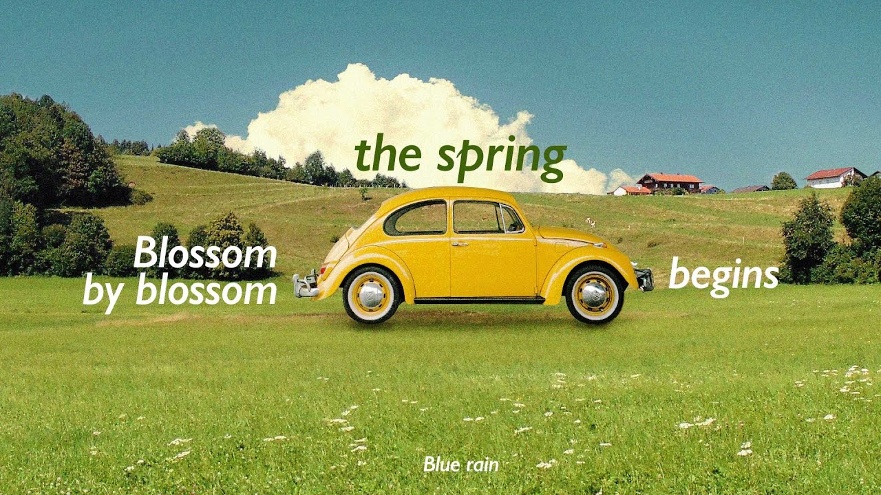 Приятная атмосфера 🍀 Позитивные вибрации 🚕 Урок дизайна