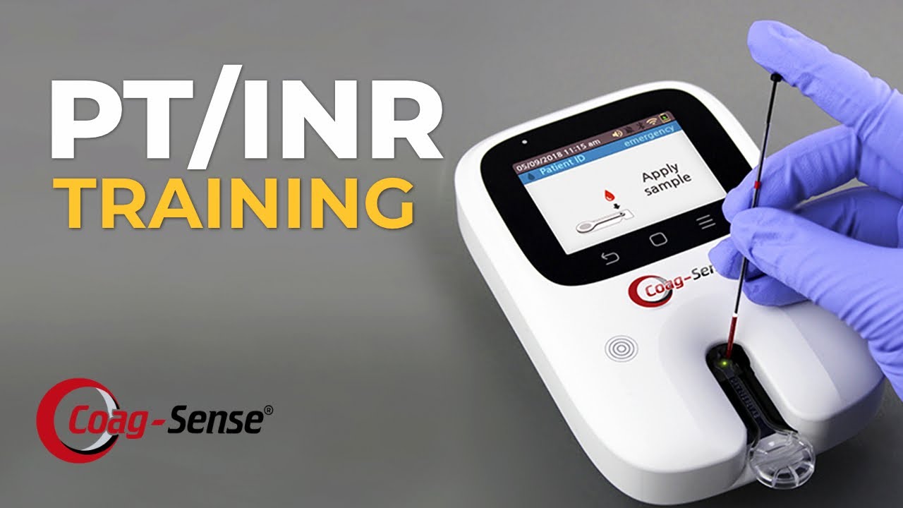 Coag-Sense PT/INR Training | How to Perform Accurate PT/INR Testing (Official Guide)
