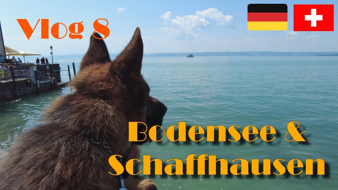 Vlog 8 Vakantie 2023: Bodensee en Schaffhausen