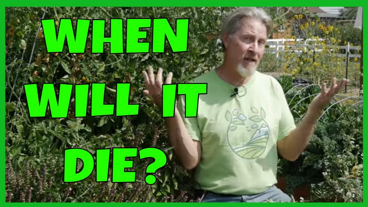 The Two Most Important Gardening Dates