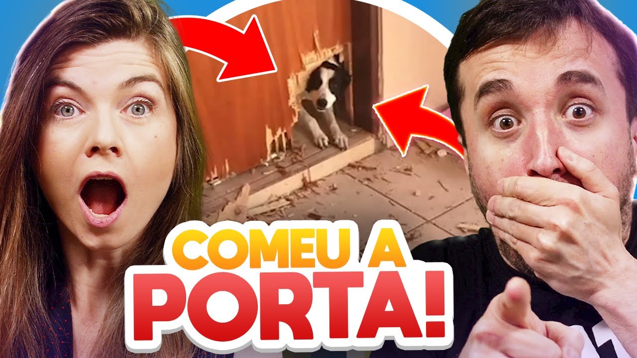 FOFINHOS ou MALVADINHOS?!?