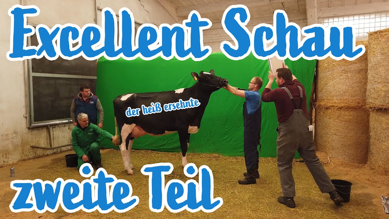 Excellent Schau in Leer | kronsVlog #7