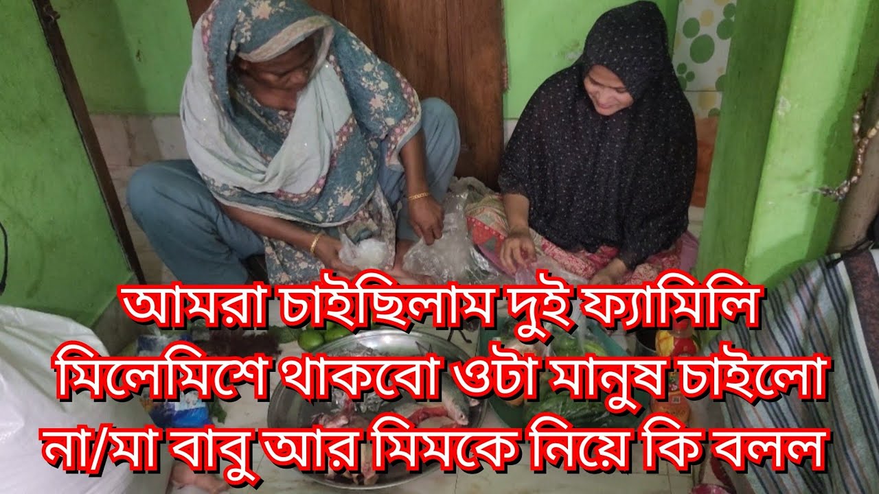 আমরা চাইছিলাম দুই ফ্যামিলি মিলেমিশে থাকবো ওটা মানুষ চাইলো না/মা বাবু আর মিমকে নিয়ে কি বলল#new#vlog