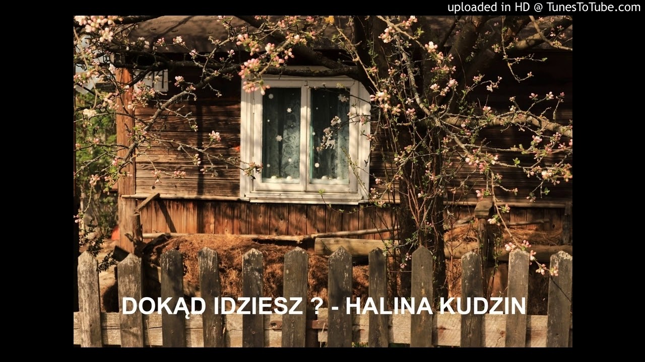 DOKĄD IDZIESZ ? - HALINA KUDZIN