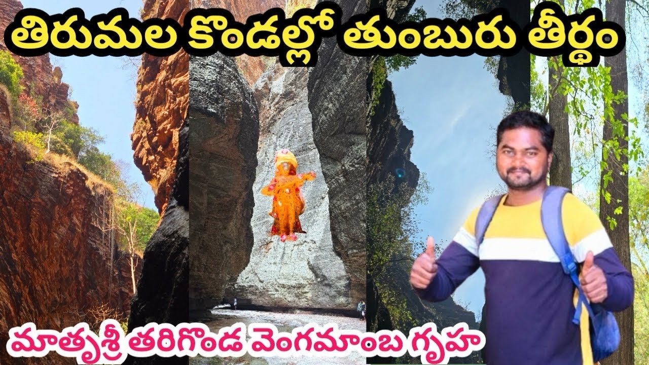 తిరుమల కొండల్లో తుంబురు తీర్థం  ముక్కోటి 2025🏞️Thumburu Theertham in Tirumala Hills #tirumalahills