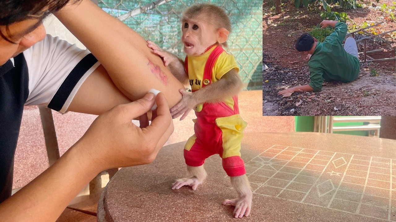 Dad Gets Into an Accident — Lulu’s Reaction Is Heartwarming