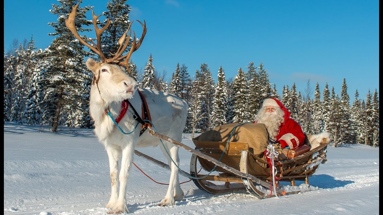 Рождественский выезд Санта-Клауса 🦌🎅 Поездка на оленях в Лапландии, Финляндия