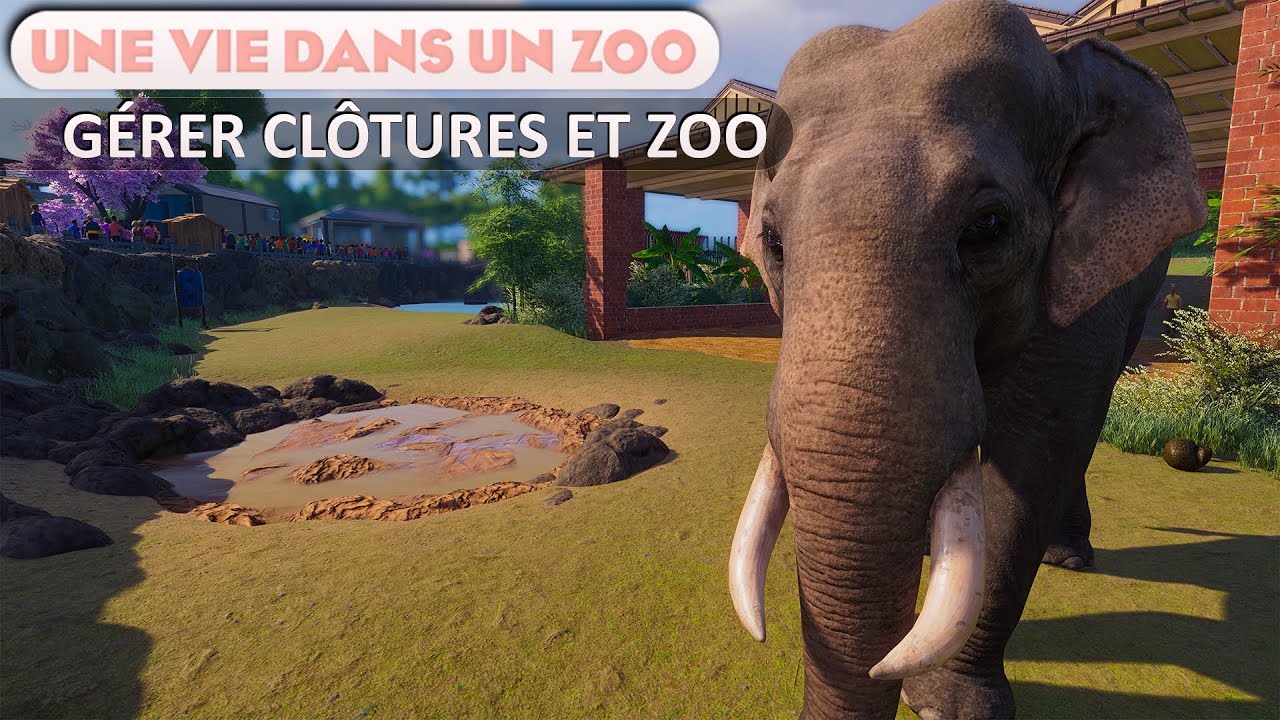 Gérer FACILEMENT Clôtures, Zones et Franchise | Épisode 34 | PLANET ZOO | Franchise