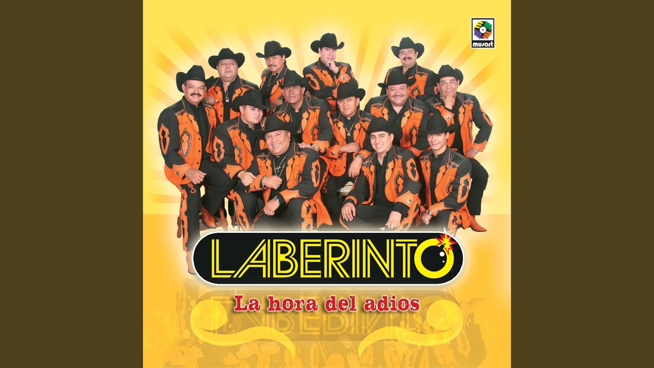 Llegó Tu Papi