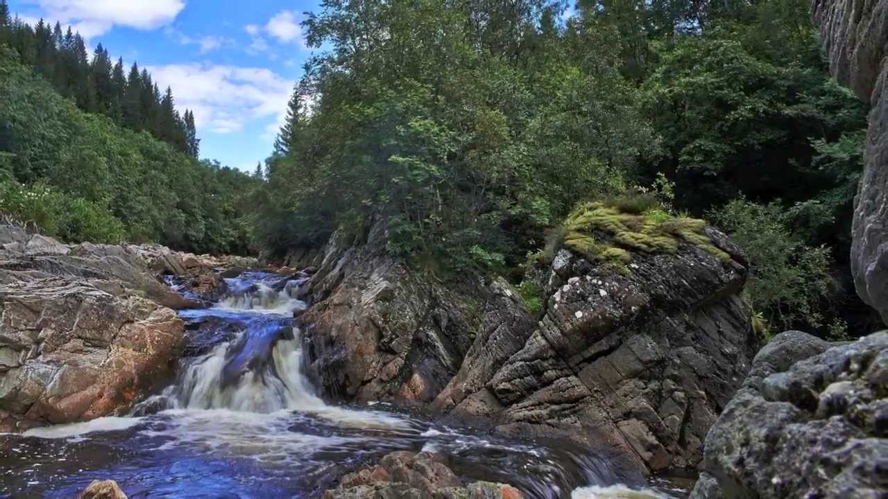 FISHTOUR SNILLFJORD