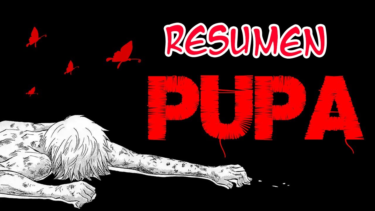 PUPA - RESUMEN 