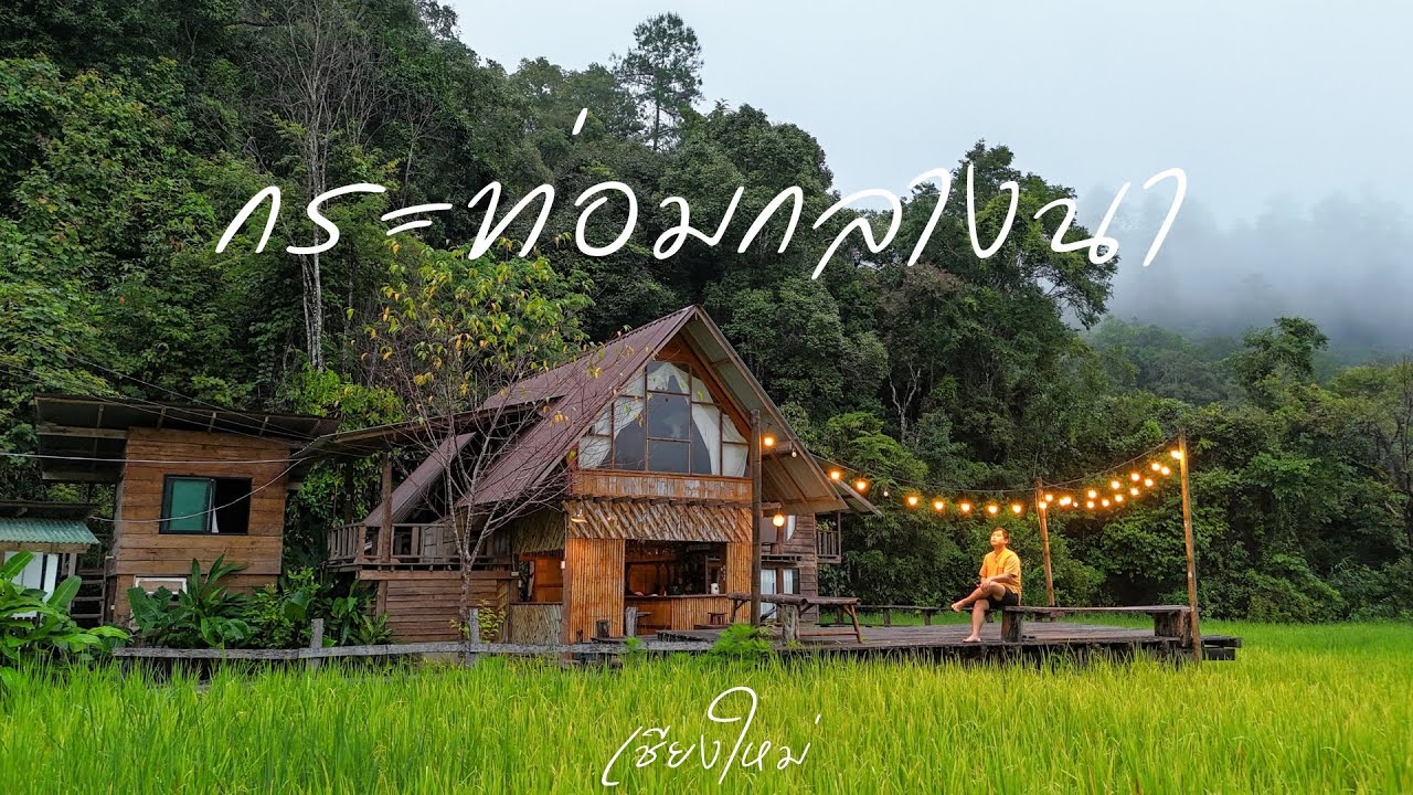 โฮมสเตย์​ ทุ่งนากลางหุบเขา​ สวยและดีมาก​ สัมผัสบรรยากาศหน้าฝนที่เชียงใหม่​ | Gun Pai Nai
