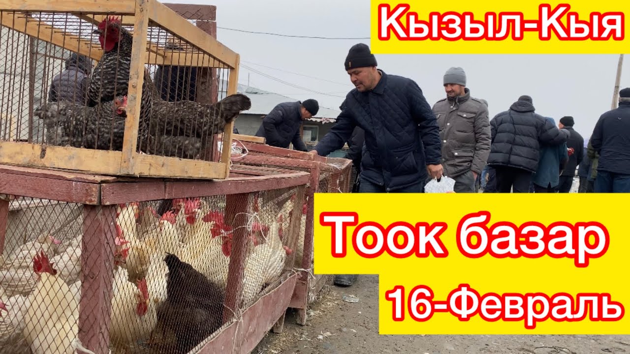 Кызыл-Кыя Тоок базары!!! 16-Февраль!!! Кызыган жэрлери