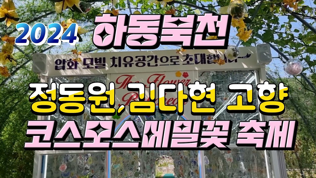 코스모스메밀꽃 축제(하동북천).정동원,김다현 고향.
