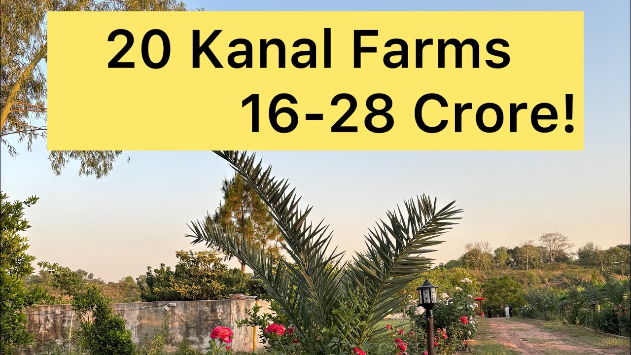 54 NAVAL FARMS 20 KANAL , BEAUTIFUL PLANTATION , REASONABLE PRICE.