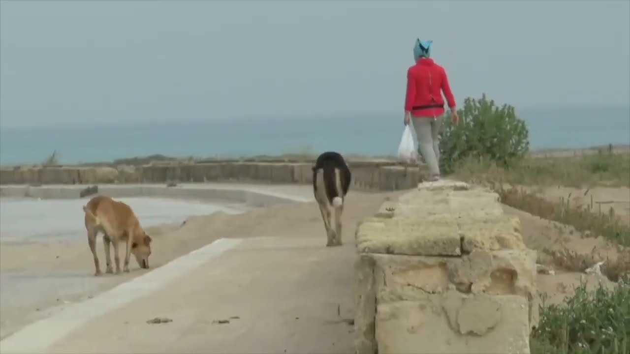 una giornata al mare