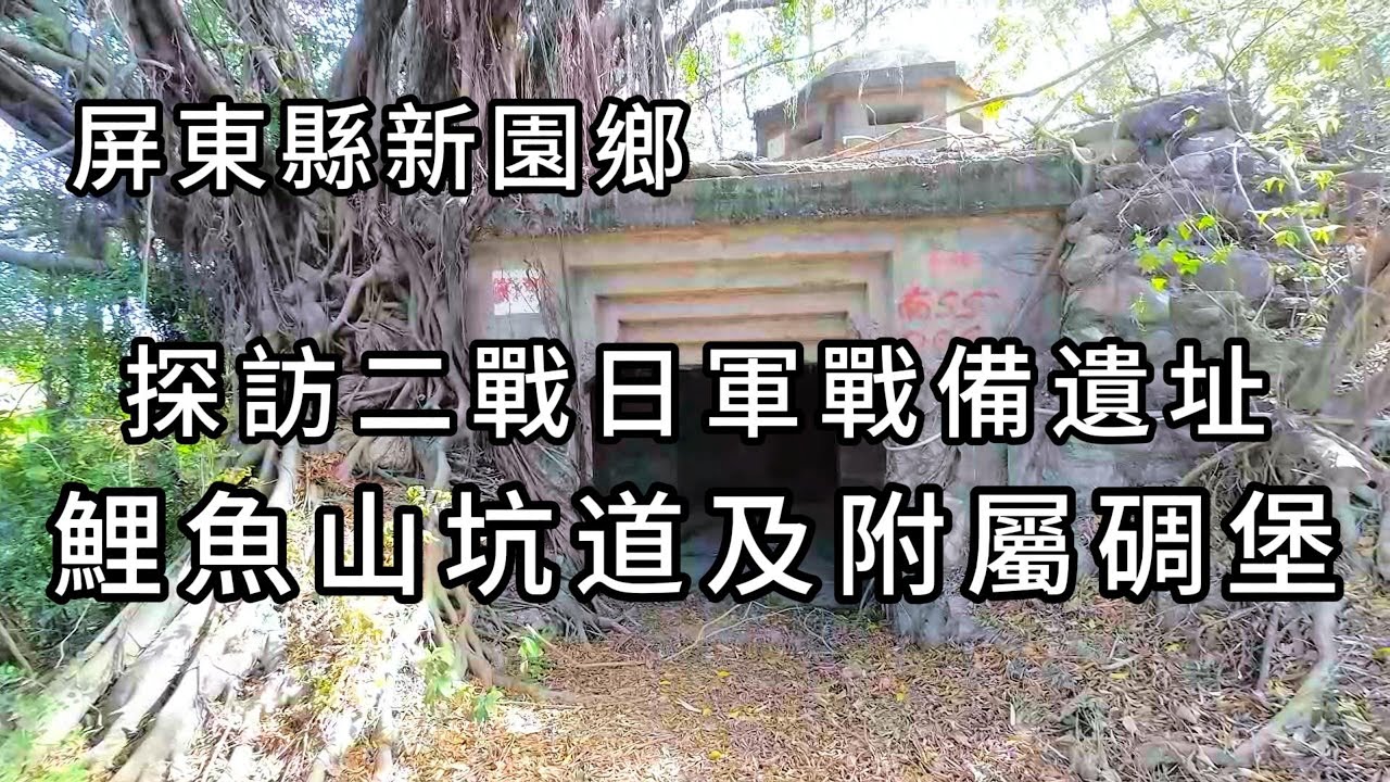 鯉魚山坑道及附屬碉堡︱探訪二戰日軍戰備遺址
