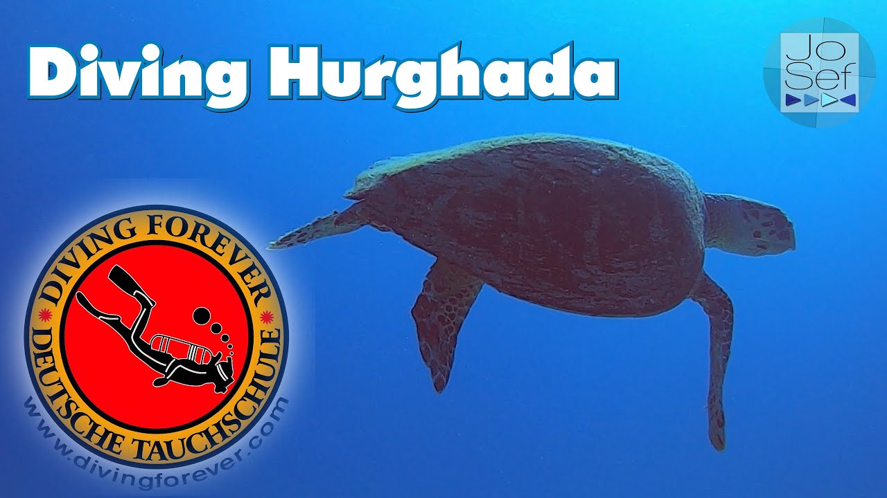 Tauchen mit Diving Forever | Deutsche Tauchschule Hurghada | M&auml;rz 2023