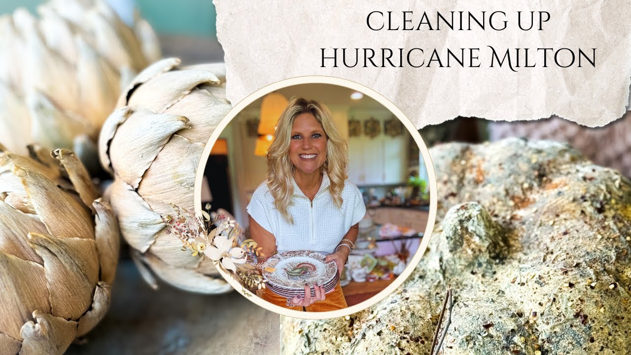 Milton clean up/How to dry artichokes, How to make cheap pumpkins look High End