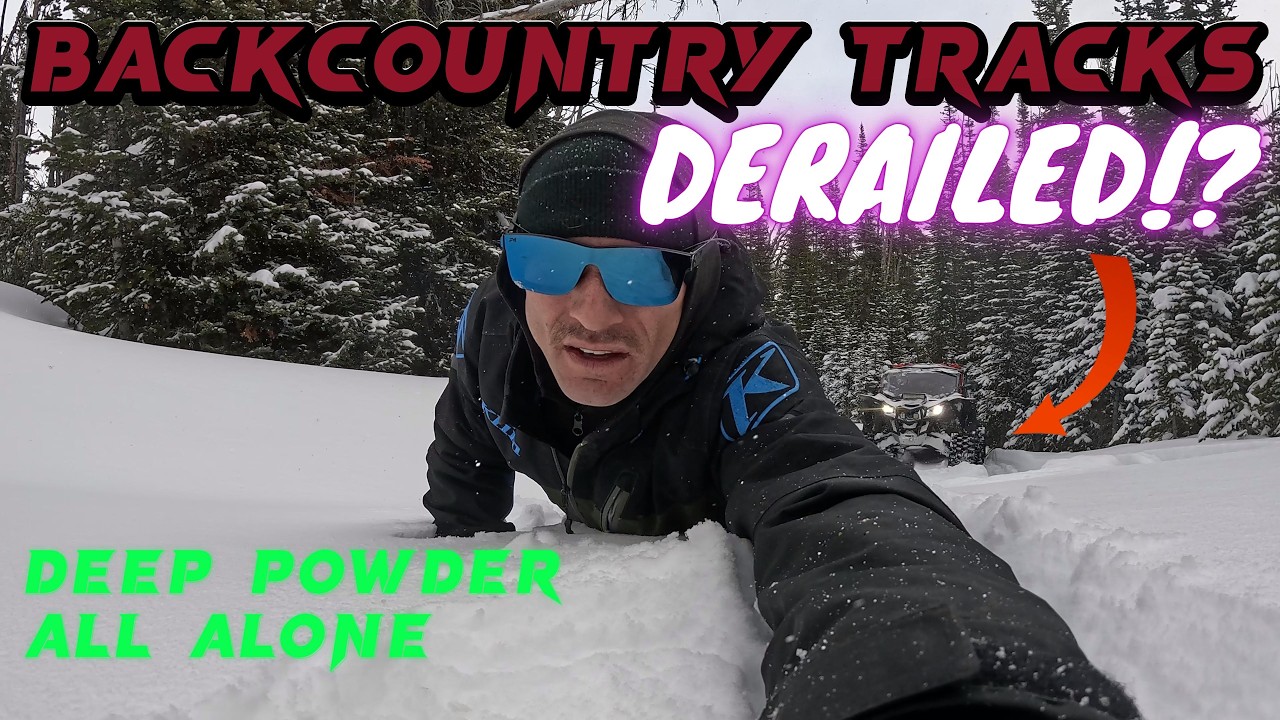 TRACKS on X3 in DEEP POWDER ALL ALONE (with dogs)
